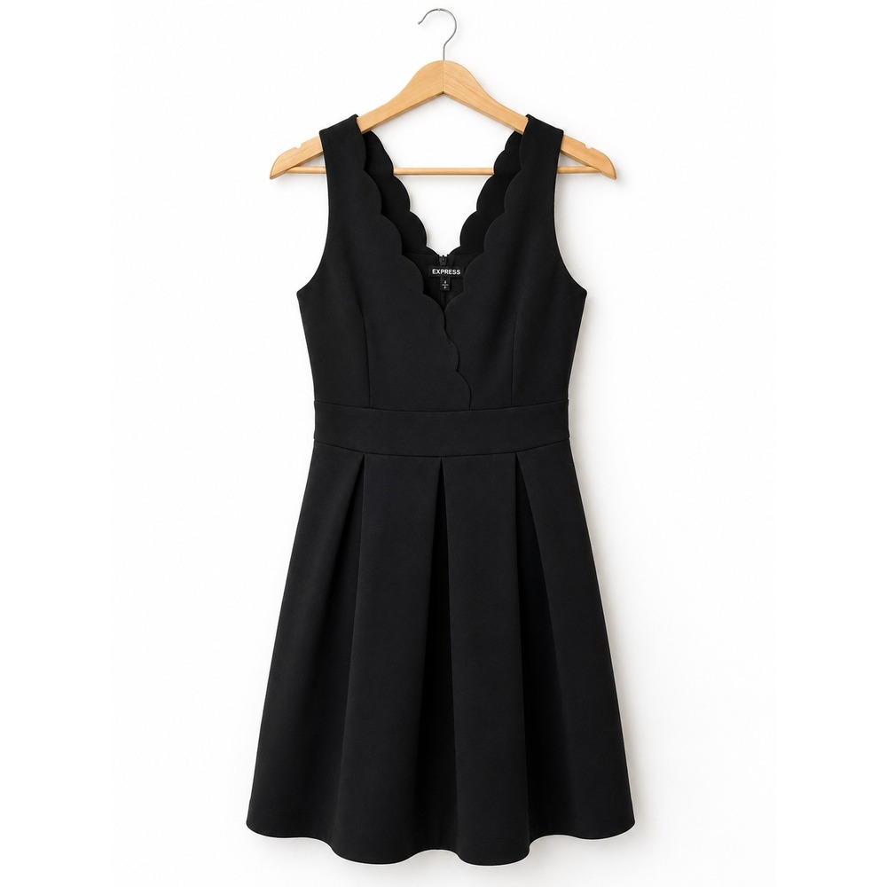Express Black Scalloped V-Neck Pleated Fit and Flare Dress 10